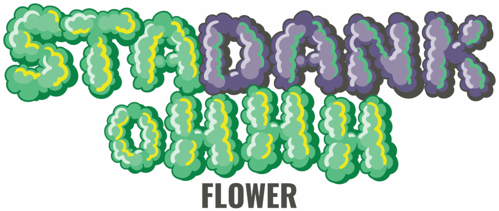 Stadankohhh Full Color Logo