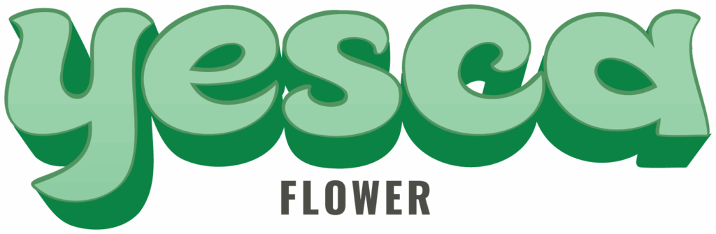 Yesca Full Color Logo